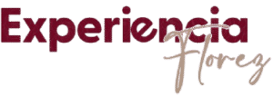 Experiencia